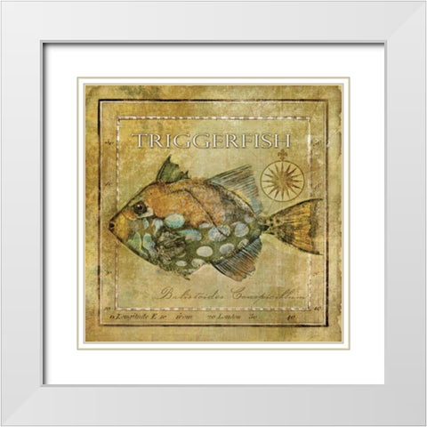 Ocean Fish XI White Modern Wood Framed Art Print with Double Matting by Beth Anne Creative
