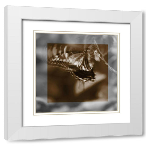 Butterfly Study I White Modern Wood Framed Art Print with Double Matting by Project, A.