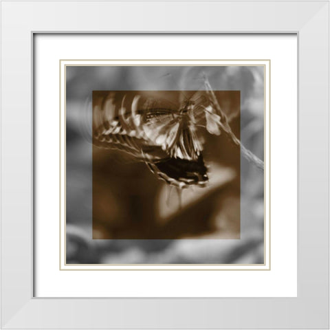 Butterfly Study I White Modern Wood Framed Art Print with Double Matting by Project, A.