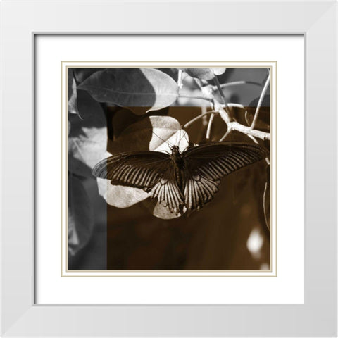 Butterfly Study II White Modern Wood Framed Art Print with Double Matting by Project, A.