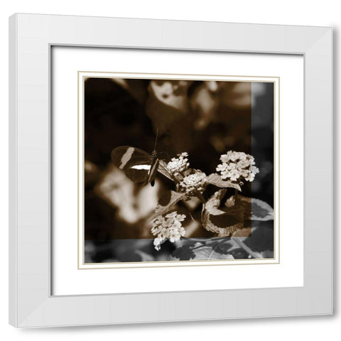 Butterfly Study III White Modern Wood Framed Art Print with Double Matting by Project, A.