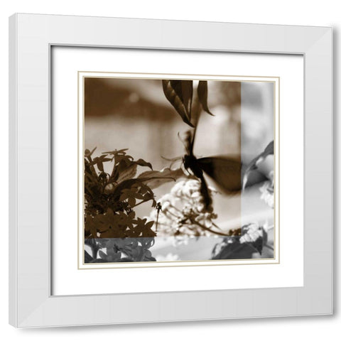 Butterfly Study V White Modern Wood Framed Art Print with Double Matting by Project, A.