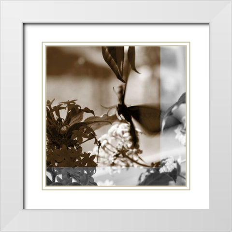 Butterfly Study V White Modern Wood Framed Art Print with Double Matting by Project, A.