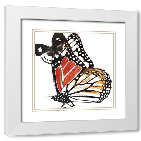 Butterflies Dance IV White Modern Wood Framed Art Print with Double Matting by Project, A.