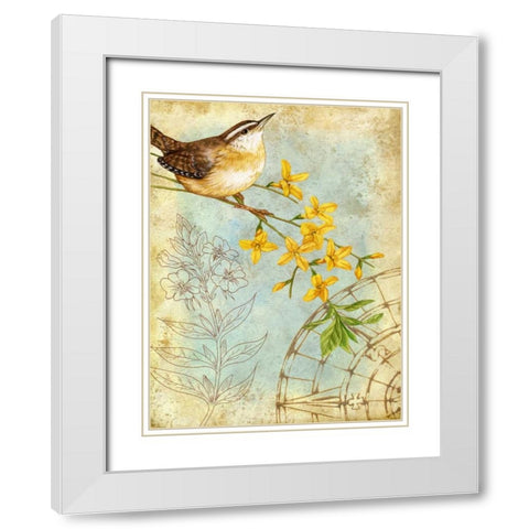 Songbird Sketchbook I White Modern Wood Framed Art Print with Double Matting by Maday, Jane