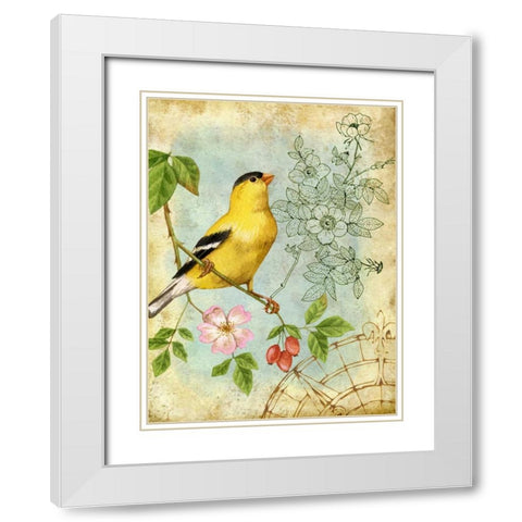 Songbird Sketchbook III White Modern Wood Framed Art Print with Double Matting by Maday, Jane