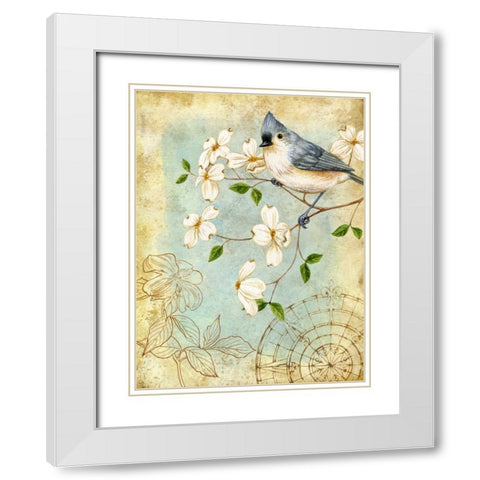 Songbird Sketchbook IV White Modern Wood Framed Art Print with Double Matting by Maday, Jane