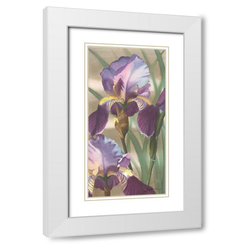 Asian Iris I White Modern Wood Framed Art Print with Double Matting by Higby, Jason