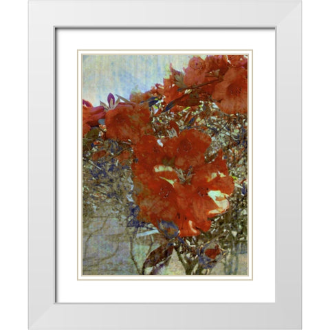 Tangled I White Modern Wood Framed Art Print with Double Matting by Harrington, Danielle