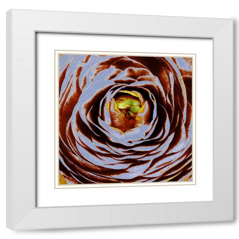 Lavinia II White Modern Wood Framed Art Print with Double Matting by Harrington, Danielle