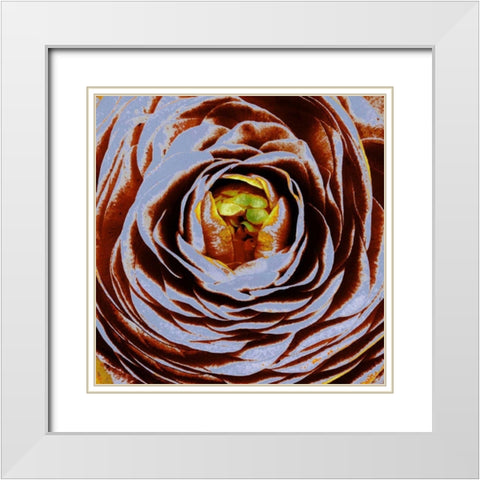 Lavinia II White Modern Wood Framed Art Print with Double Matting by Harrington, Danielle