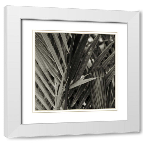 Bamboo Study I White Modern Wood Framed Art Print with Double Matting by Ling, Tang