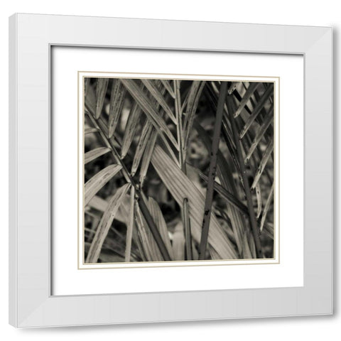 Bamboo Study II White Modern Wood Framed Art Print with Double Matting by Ling, Tang