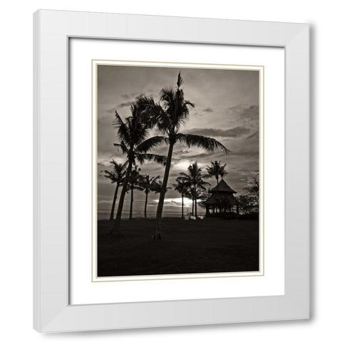 Palms at Night I White Modern Wood Framed Art Print with Double Matting by Ling, Tang
