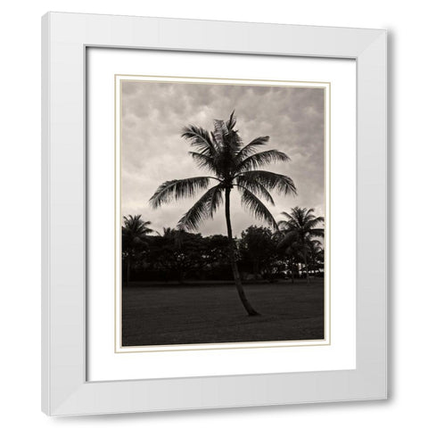 Palms at Night II White Modern Wood Framed Art Print with Double Matting by Ling, Tang