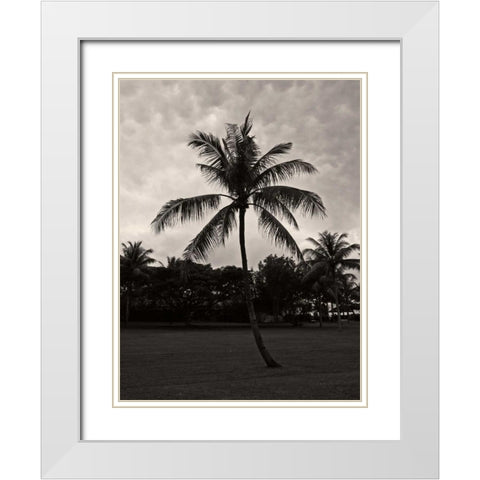 Palms at Night II White Modern Wood Framed Art Print with Double Matting by Ling, Tang