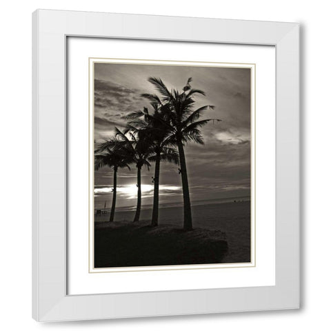 Palms at Night III White Modern Wood Framed Art Print with Double Matting by Ling, Tang