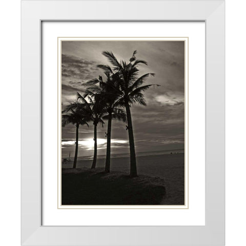 Palms at Night III White Modern Wood Framed Art Print with Double Matting by Ling, Tang