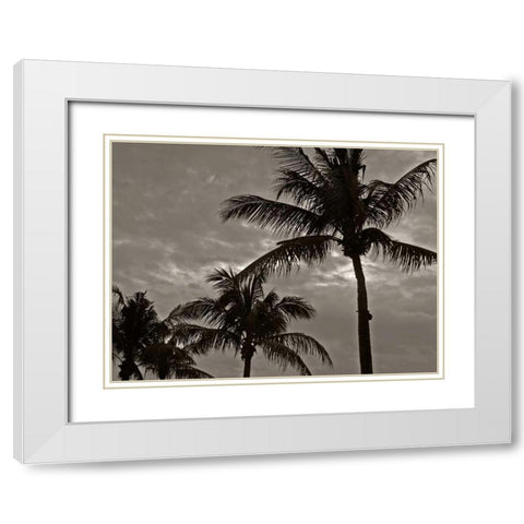 Palms at Night IV White Modern Wood Framed Art Print with Double Matting by Ling, Tang