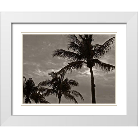 Palms at Night IV White Modern Wood Framed Art Print with Double Matting by Ling, Tang