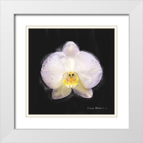 Vibrant Flower IV White Modern Wood Framed Art Print with Double Matting by Henry, Lola