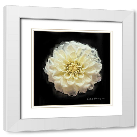 Vibrant Flower V White Modern Wood Framed Art Print with Double Matting by Henry, Lola