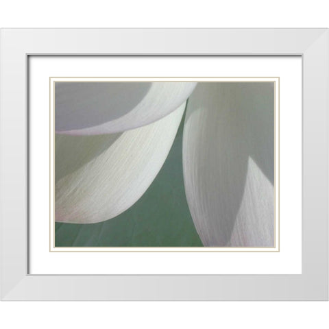Lotus Detail I White Modern Wood Framed Art Print with Double Matting by Christensen, Jim