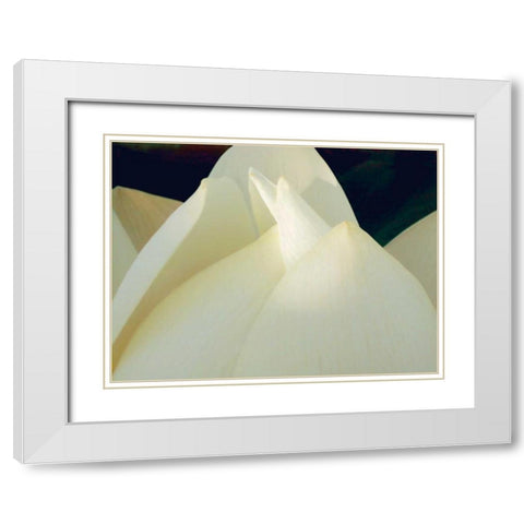 Lotus Detail III White Modern Wood Framed Art Print with Double Matting by Christensen, Jim
