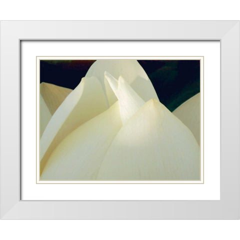 Lotus Detail III White Modern Wood Framed Art Print with Double Matting by Christensen, Jim