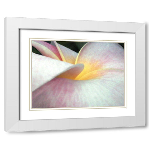 Flowers II White Modern Wood Framed Art Print with Double Matting by Christensen, Jim