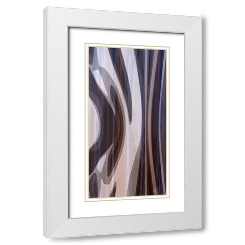 Bentwood Panel I White Modern Wood Framed Art Print with Double Matting by Burghardt, James