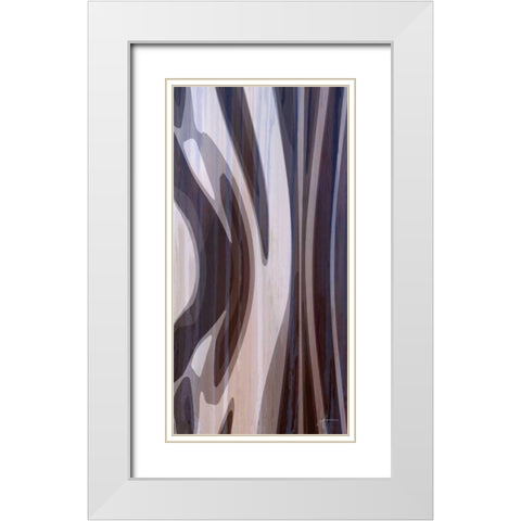 Bentwood Panel I White Modern Wood Framed Art Print with Double Matting by Burghardt, James