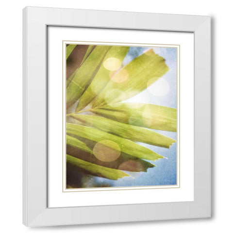 Tropical Daydream I White Modern Wood Framed Art Print with Double Matting by Robinson, Emily