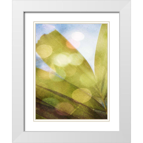 Tropical Daydream II White Modern Wood Framed Art Print with Double Matting by Robinson, Emily