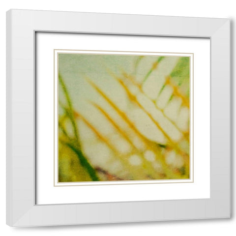 Tropical Texture I White Modern Wood Framed Art Print with Double Matting by Robinson, Emily