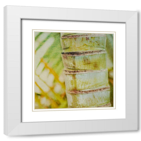 Tropical Texture II White Modern Wood Framed Art Print with Double Matting by Robinson, Emily