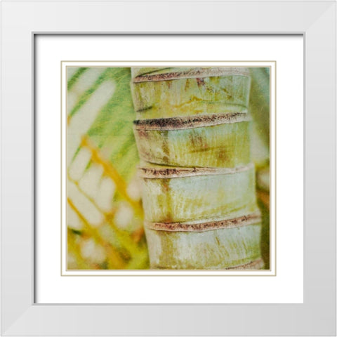 Tropical Texture II White Modern Wood Framed Art Print with Double Matting by Robinson, Emily