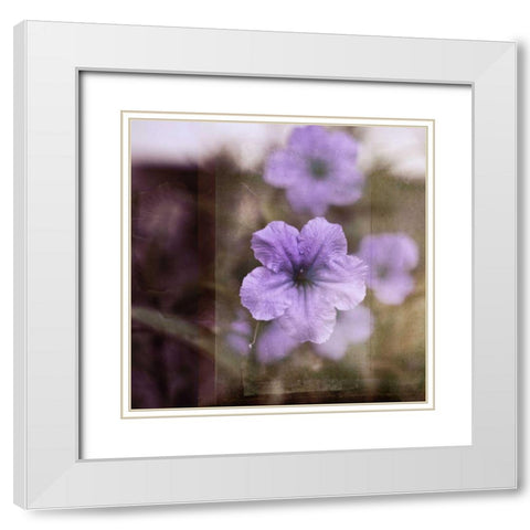 Purple Tranquility II White Modern Wood Framed Art Print with Double Matting by Robinson, Emily