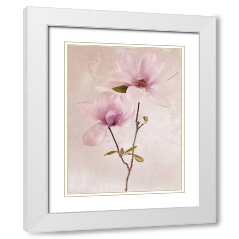 Tulip Blush II White Modern Wood Framed Art Print with Double Matting by Zalewski, Christine