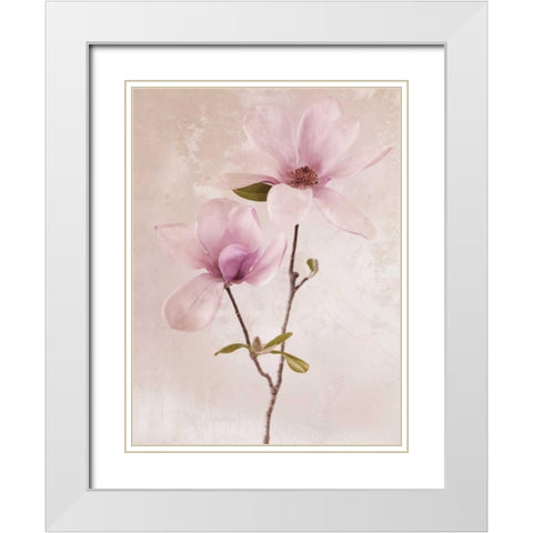Tulip Blush II White Modern Wood Framed Art Print with Double Matting by Zalewski, Christine