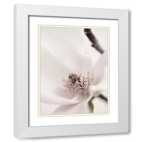 Magnolia Blush II White Modern Wood Framed Art Print with Double Matting by Zalewski, Christine
