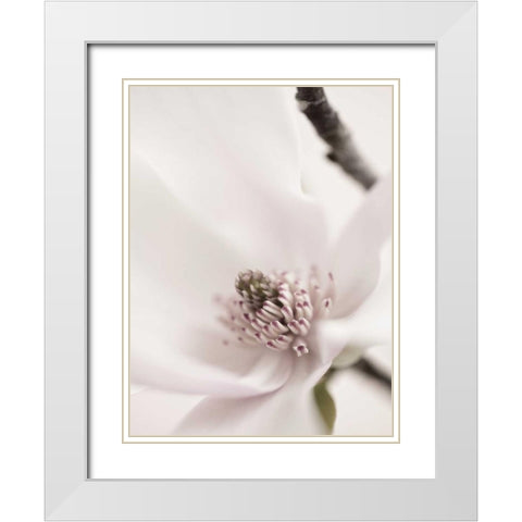 Magnolia Blush II White Modern Wood Framed Art Print with Double Matting by Zalewski, Christine