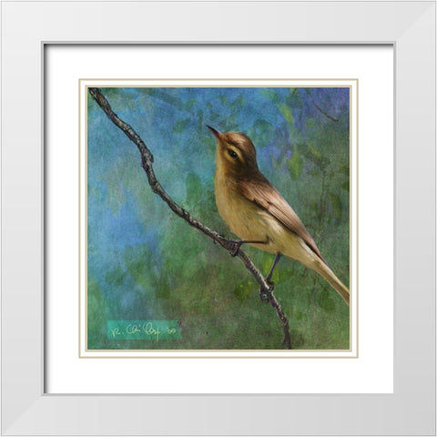 Viveo White Modern Wood Framed Art Print with Double Matting by Vest, Chris