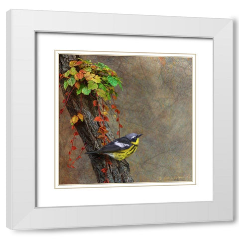 Magnolia Warbler White Modern Wood Framed Art Print with Double Matting by Vest, Chris