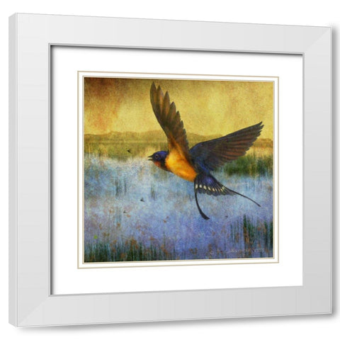 Barnswallow White Modern Wood Framed Art Print with Double Matting by Vest, Chris