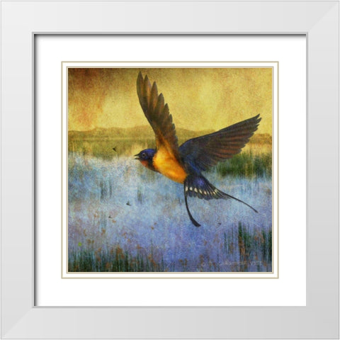 Barnswallow White Modern Wood Framed Art Print with Double Matting by Vest, Chris