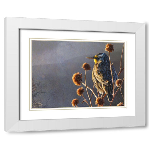 Meadowlark White Modern Wood Framed Art Print with Double Matting by Vest, Chris