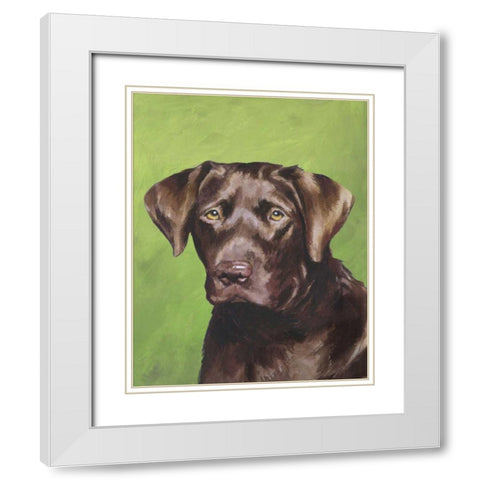 Dog Portrait-Chocolate White Modern Wood Framed Art Print with Double Matting by Sands, Jill