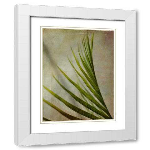 Elegant Frond I White Modern Wood Framed Art Print with Double Matting by Robinson, Emily