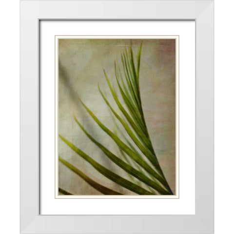 Elegant Frond I White Modern Wood Framed Art Print with Double Matting by Robinson, Emily